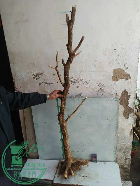IMG20170302113221.jpg