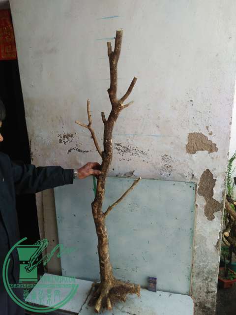 IMG20170302113226.jpg
