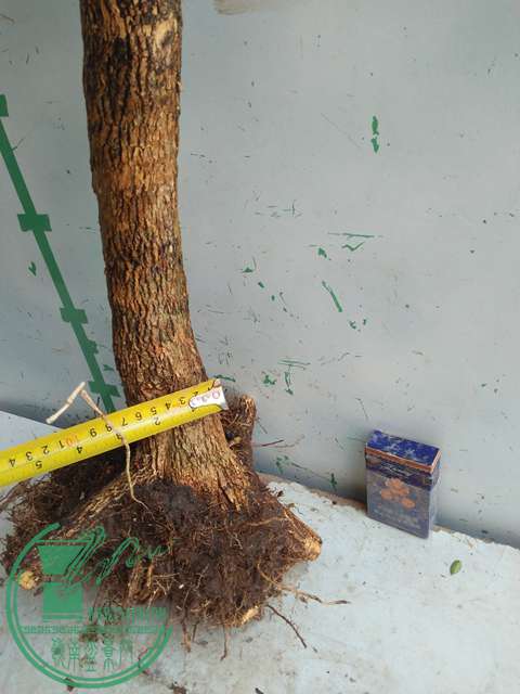 IMG20170302113423.jpg
