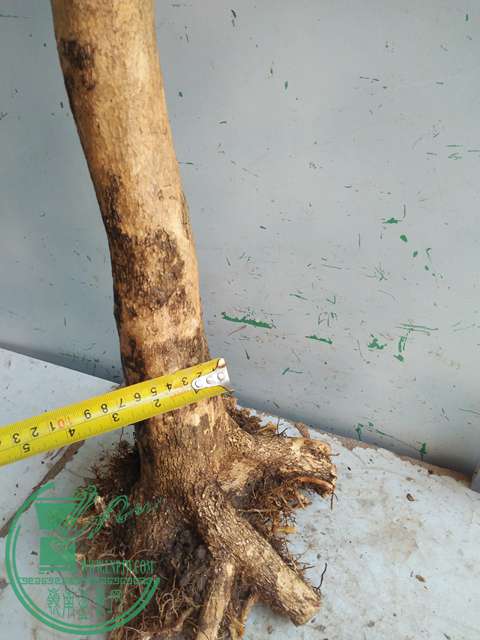 IMG20170302113508.jpg