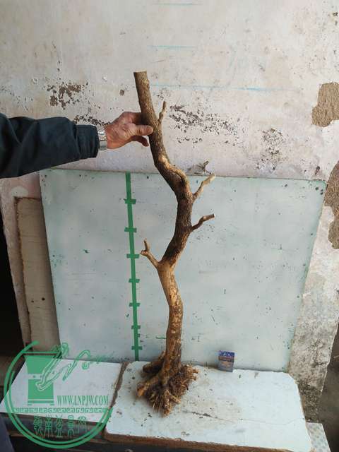 IMG20170302113516.jpg