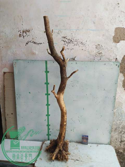 IMG20170302113530.jpg