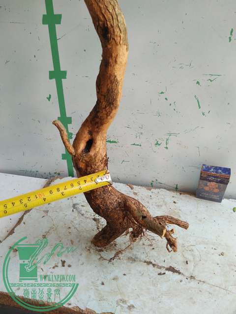 IMG20170302113711.jpg