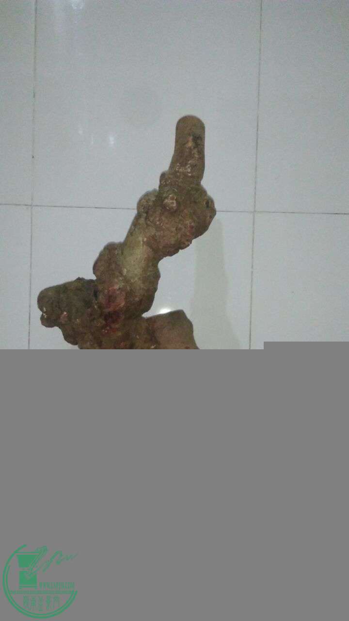 QQͼƬ20170302214534.jpg