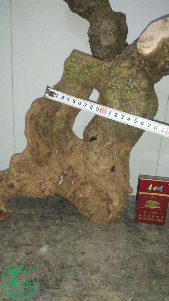 QQͼƬ20170302214538.jpg