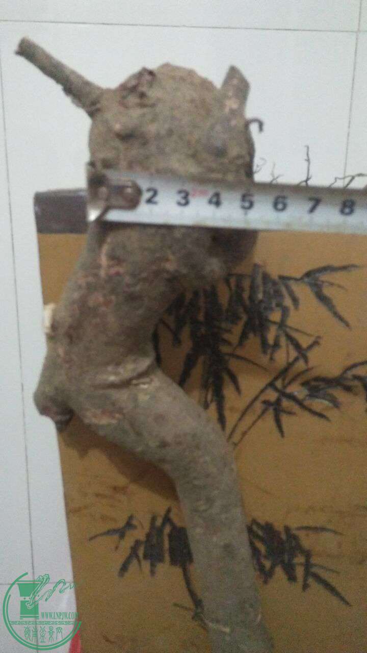 QQͼƬ20170302214416.jpg