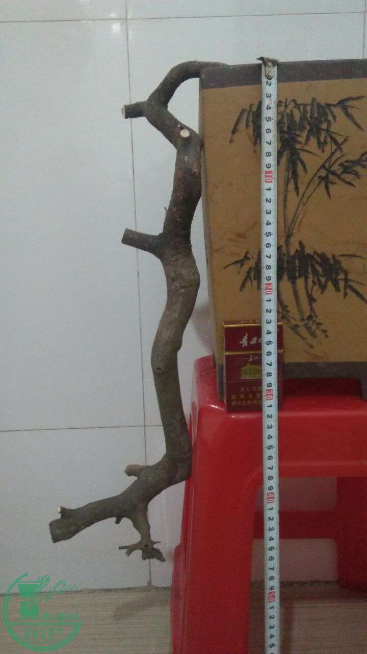 QQͼƬ20170302214435.jpg