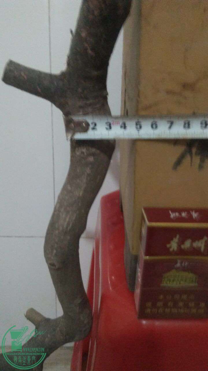 QQͼƬ20170302214431.jpg