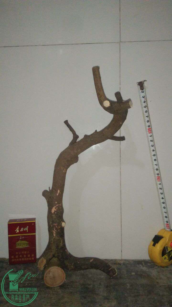 QQͼƬ20170302214511.jpg