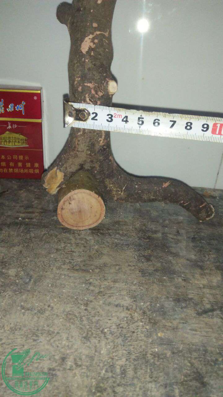 QQͼƬ20170302214506.jpg