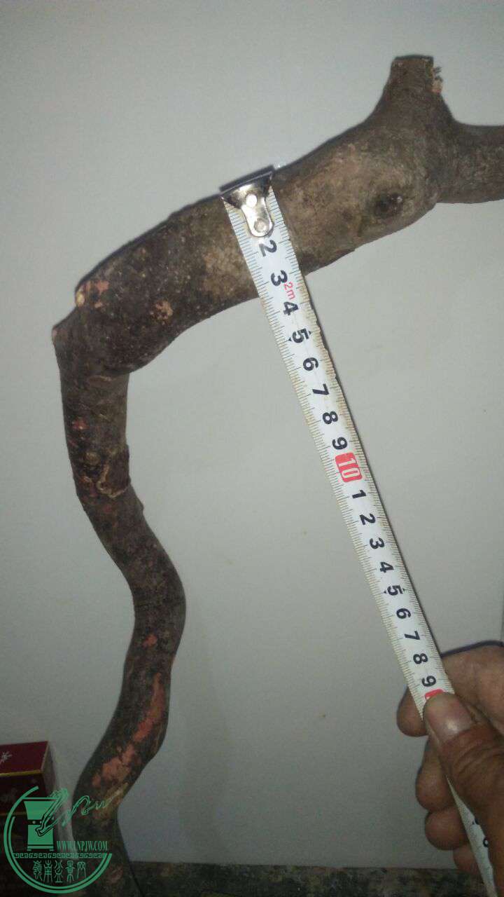 QQͼƬ20170302214515.jpg