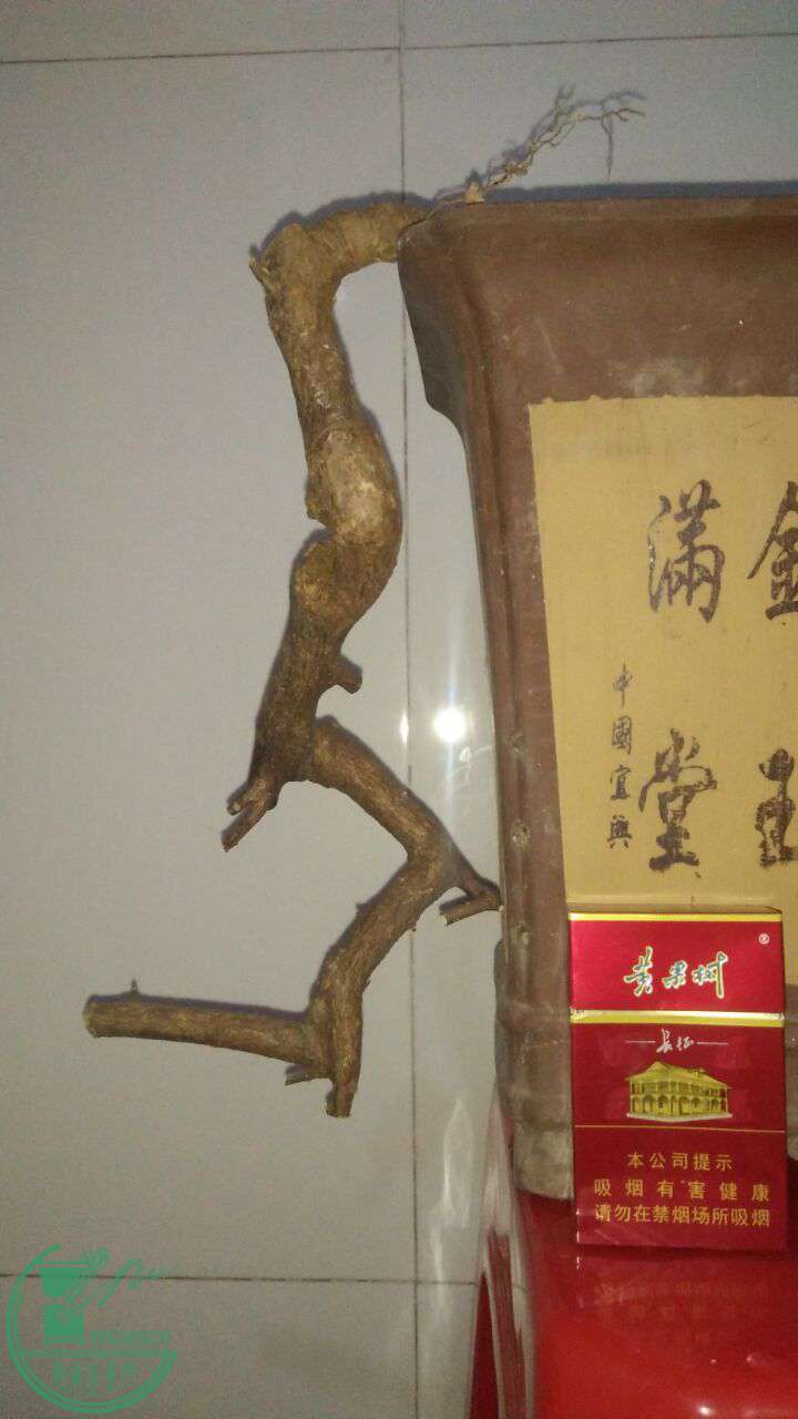QQͼƬ20170302214501.jpg