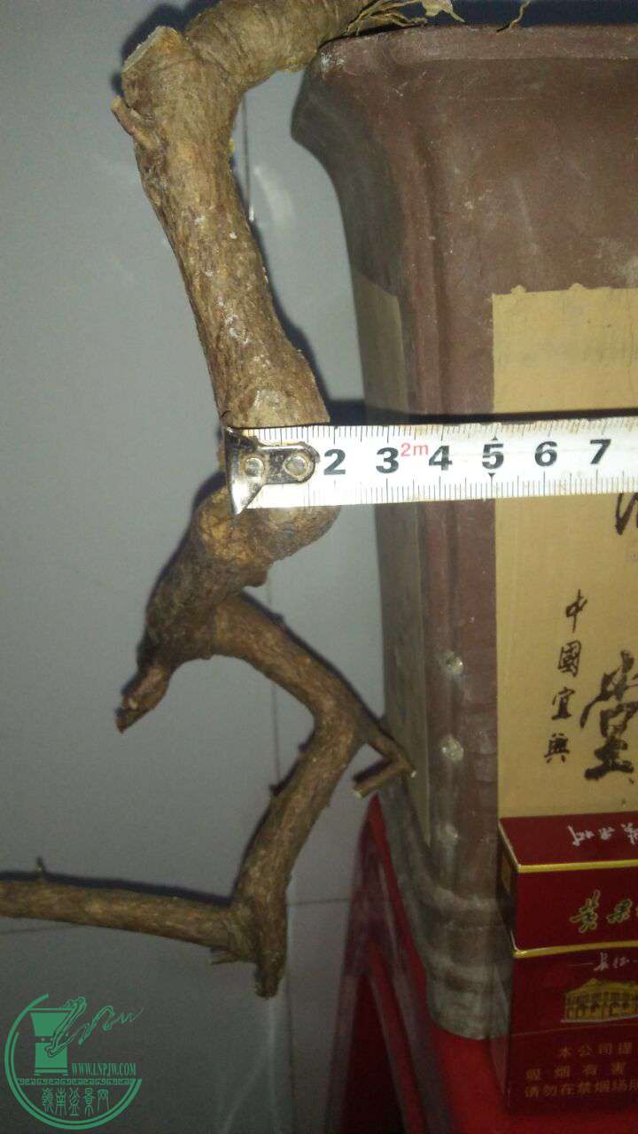 QQͼƬ20170302214457.jpg