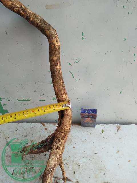 IMG20170302114004.jpg