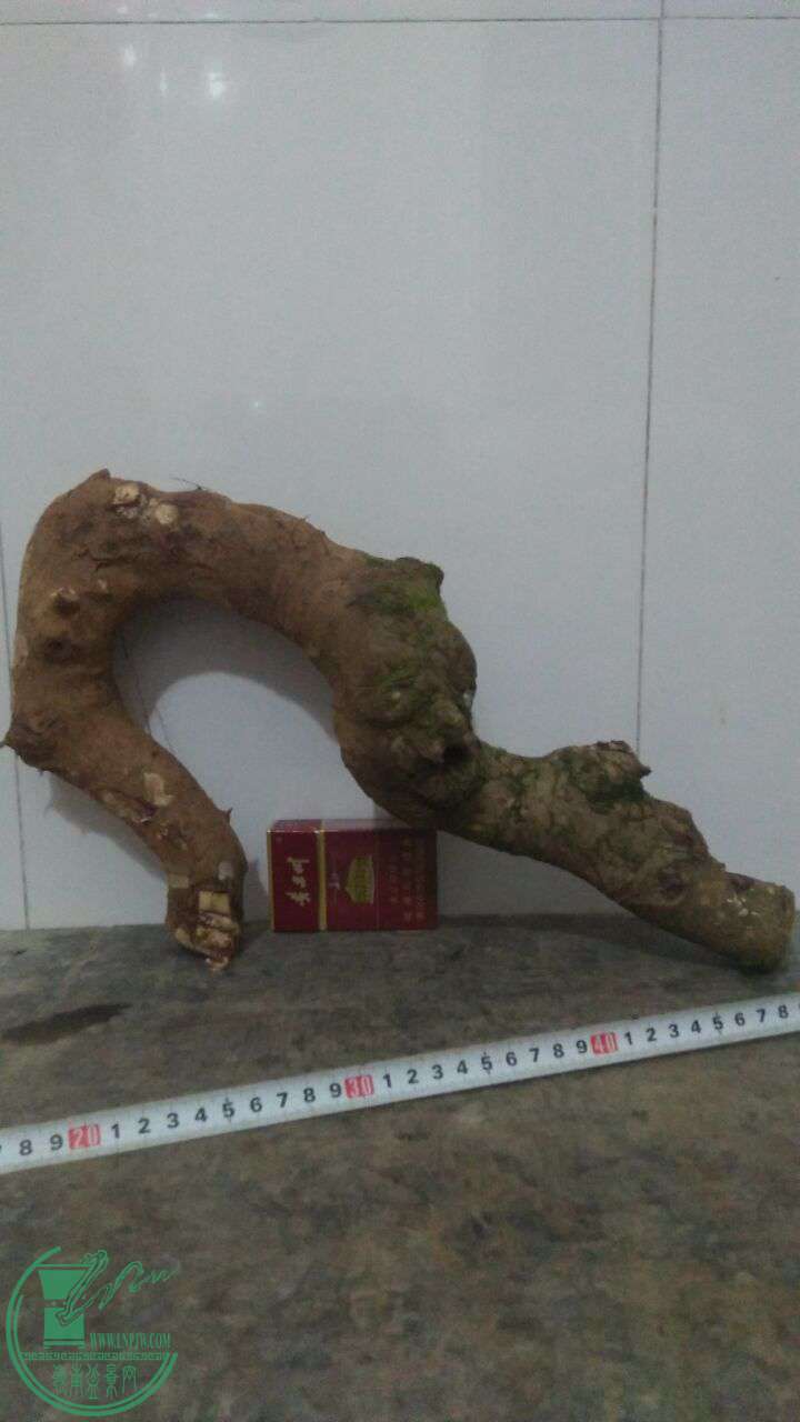 QQͼƬ20170302214440.jpg