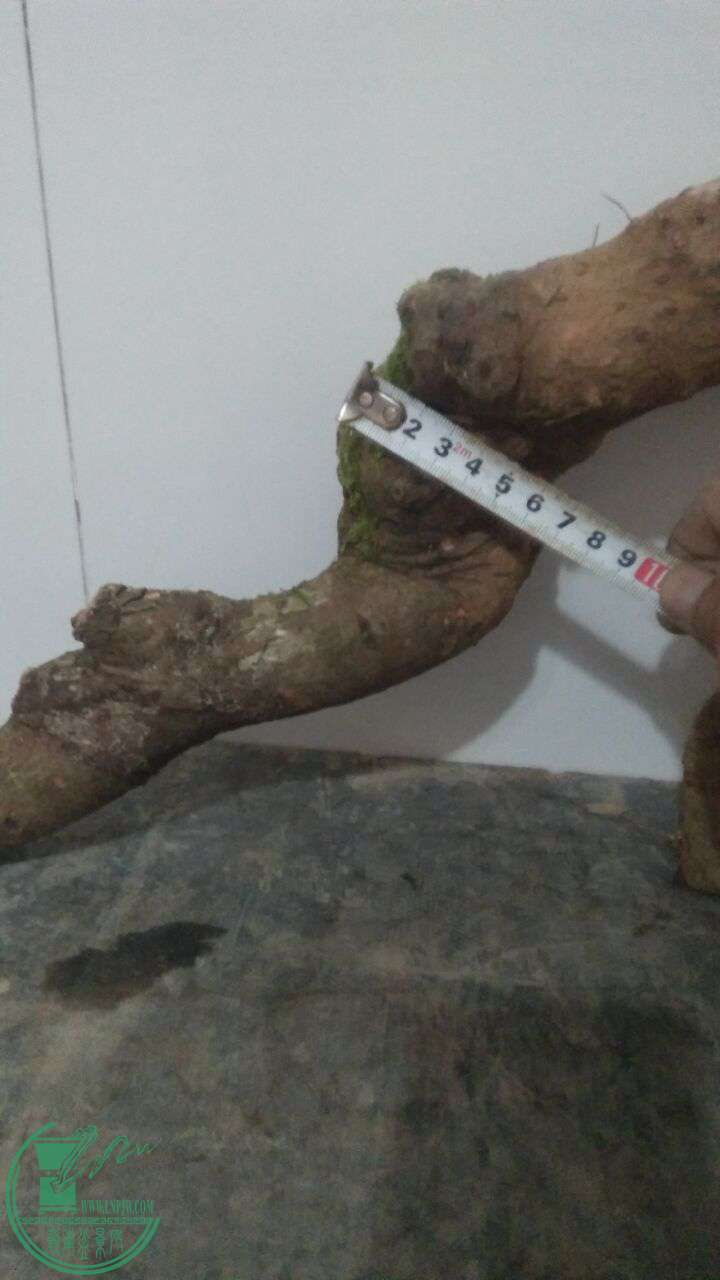 QQͼƬ20170302214444.jpg