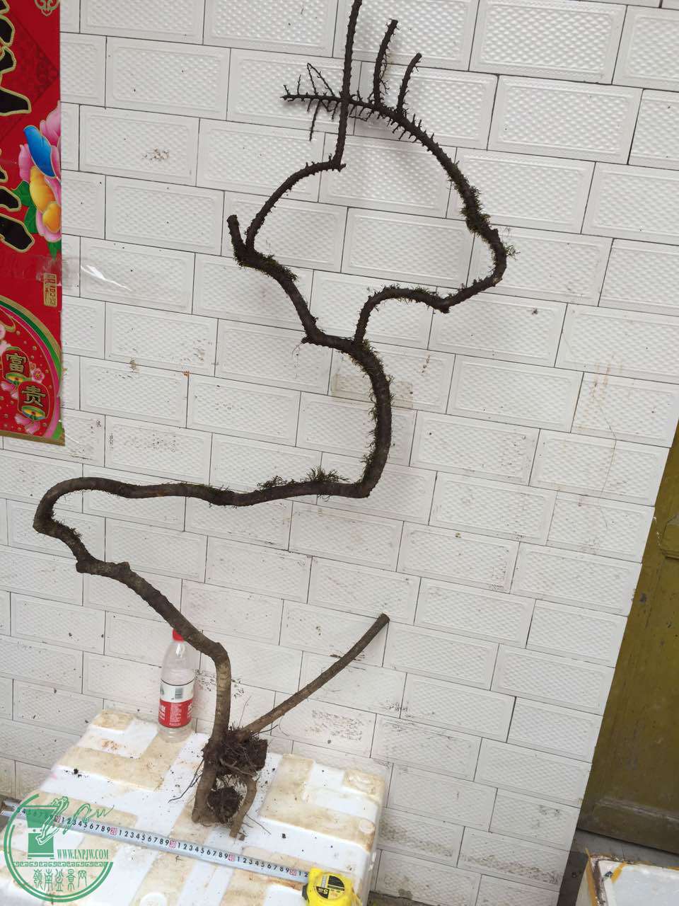 34.jpg