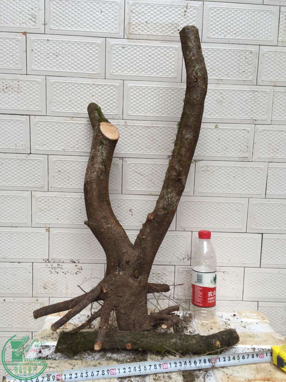125.jpg