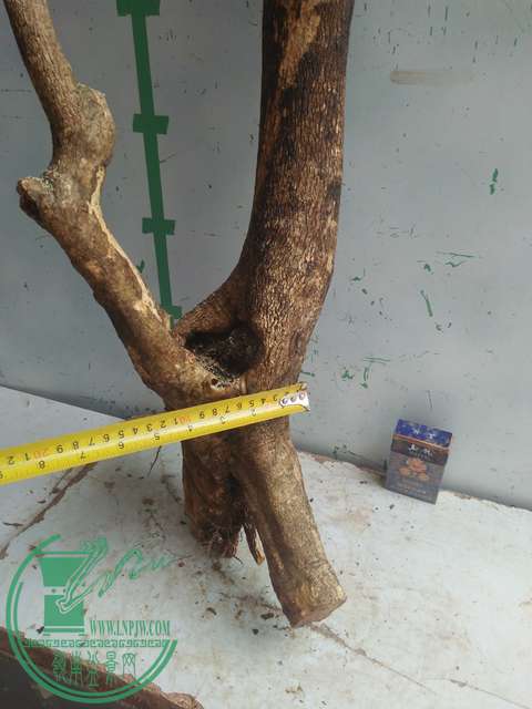 IMG20170303131411.jpg