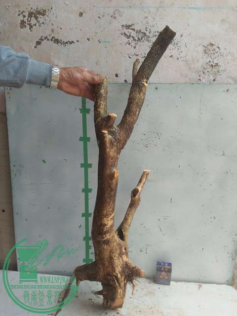 IMG20170303131422.jpg
