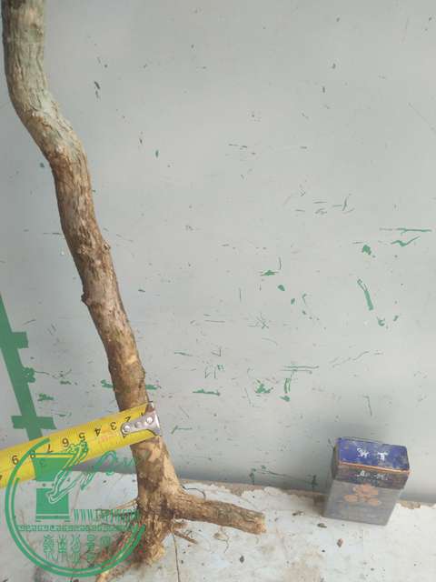 IMG20170303131739.jpg
