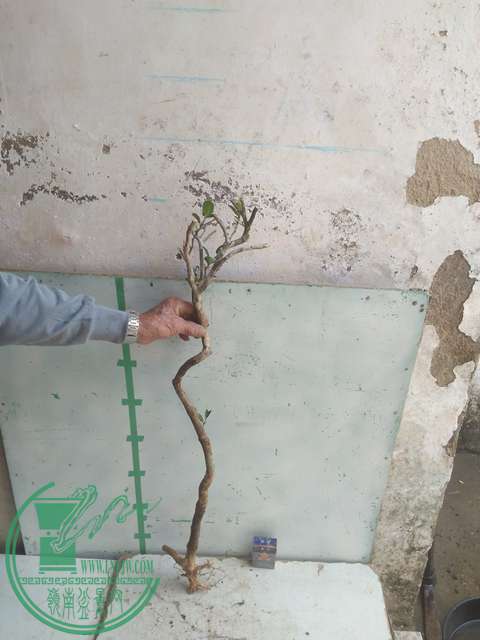 IMG20170303131743.jpg