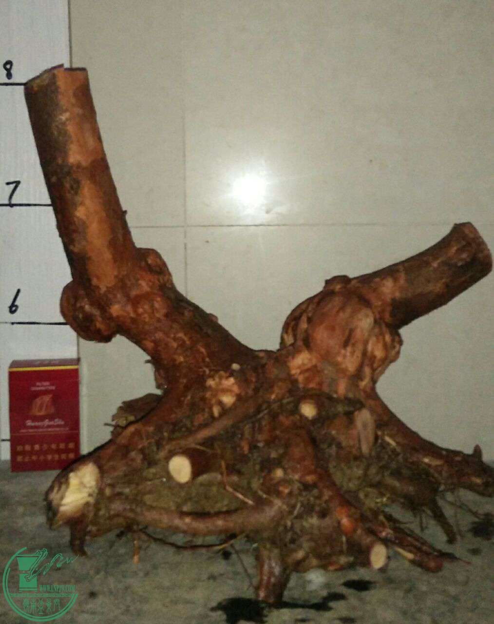 QQͼƬ20170303213523.jpg