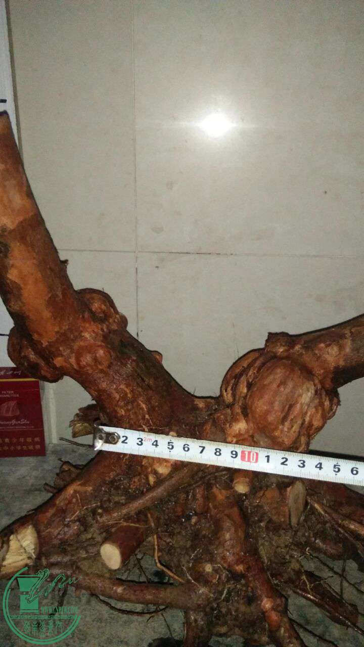 QQͼƬ20170303214108.jpg