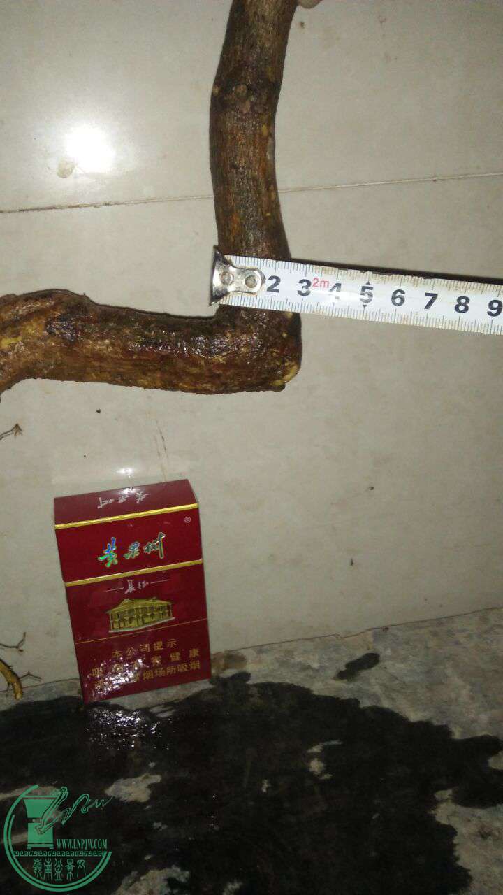QQͼƬ20170303213615.jpg