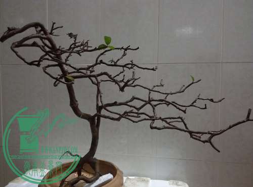 P70304-215449_.jpg