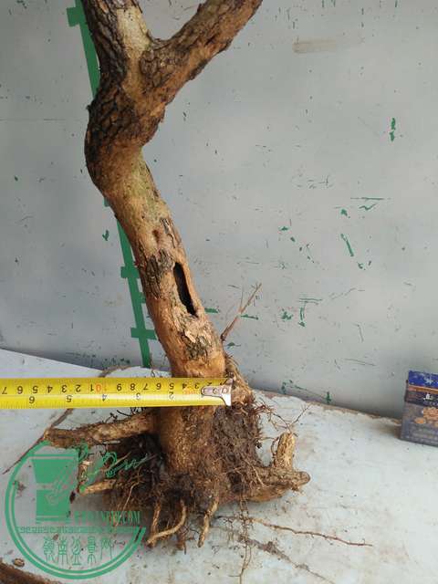 IMG20170304130339.jpg