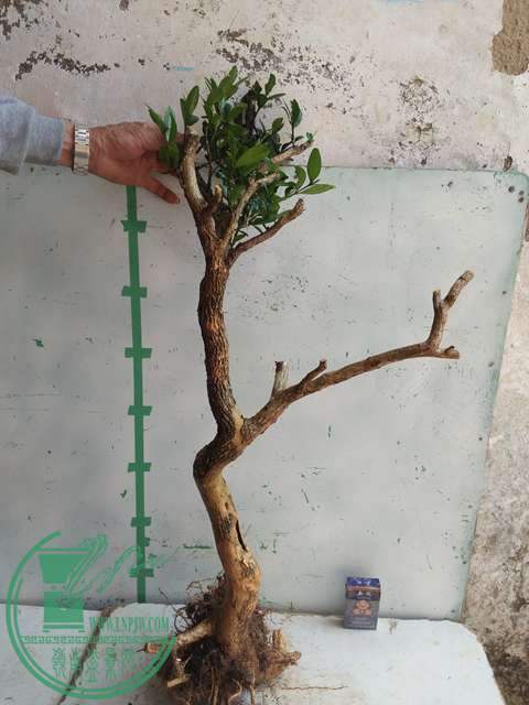 IMG20170304130344.jpg