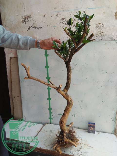 IMG20170304130355.jpg