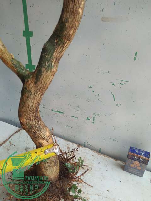 IMG20170304131048.jpg