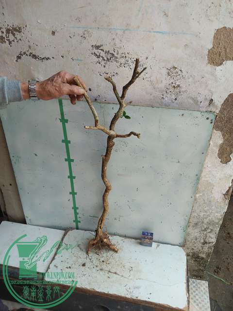 IMG20170304131252.jpg