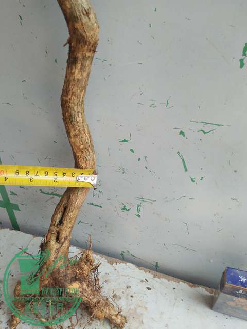 IMG20170304131257.jpg