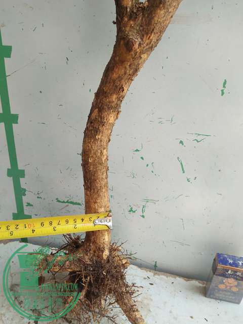 IMG20170304131326.jpg