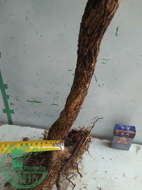 IMG20170304131351.jpg