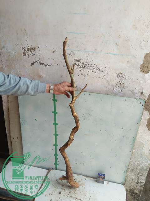 IMG20170304131420.jpg