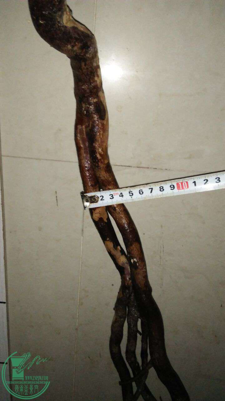 QQͼƬ20170304212228.jpg