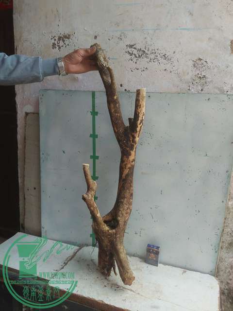 IMG20170303131403.jpg