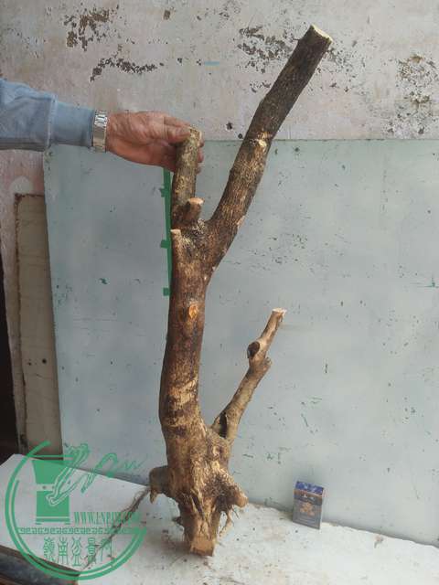 IMG20170303131418.jpg
