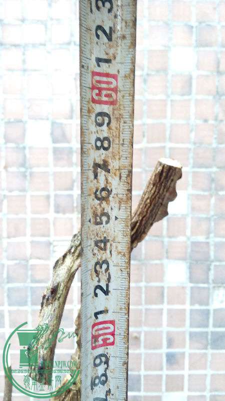 866052