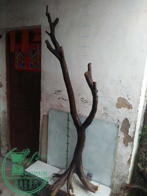 IMG20170305141348.jpg