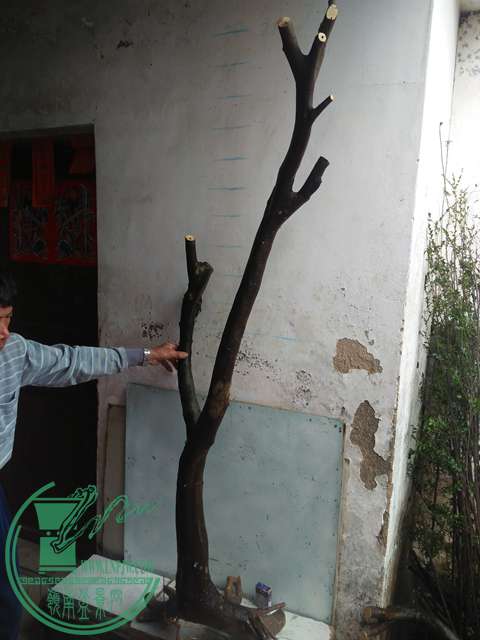 IMG20170305141424.jpg