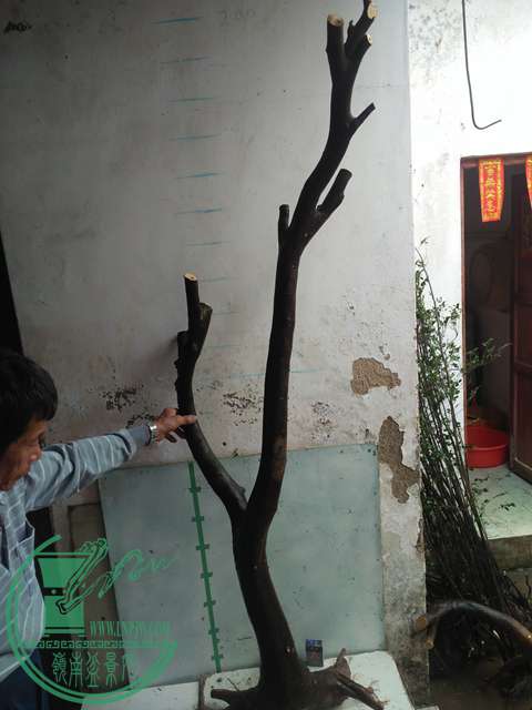IMG20170305141431.jpg