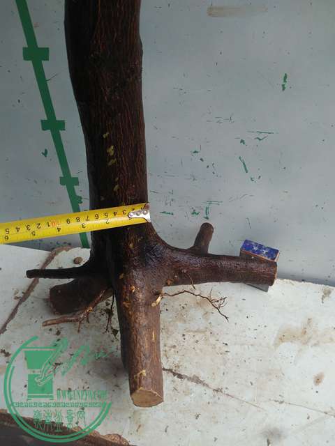 IMG20170305141700.jpg
