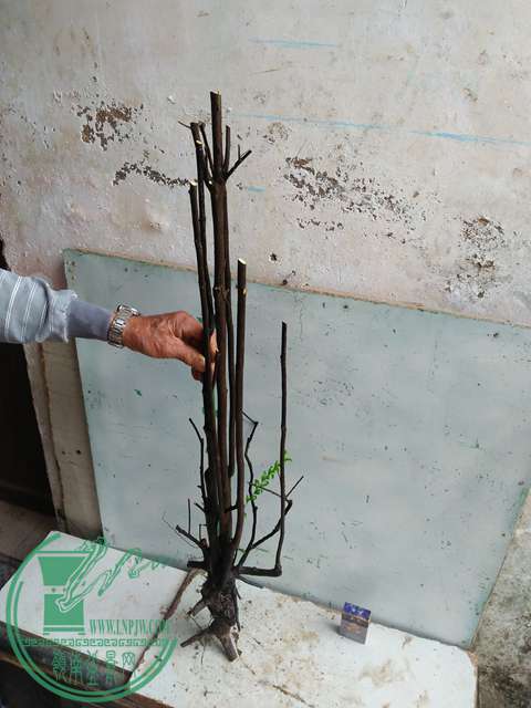 IMG20170305143747.jpg
