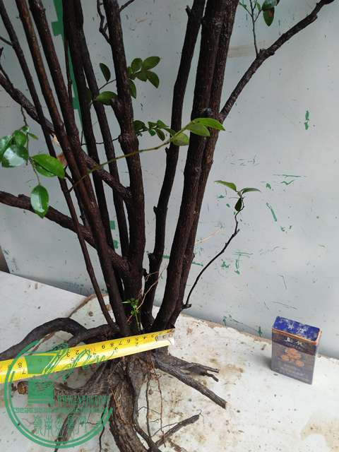 IMG20170305144038.jpg