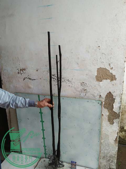 IMG20170305144351.jpg